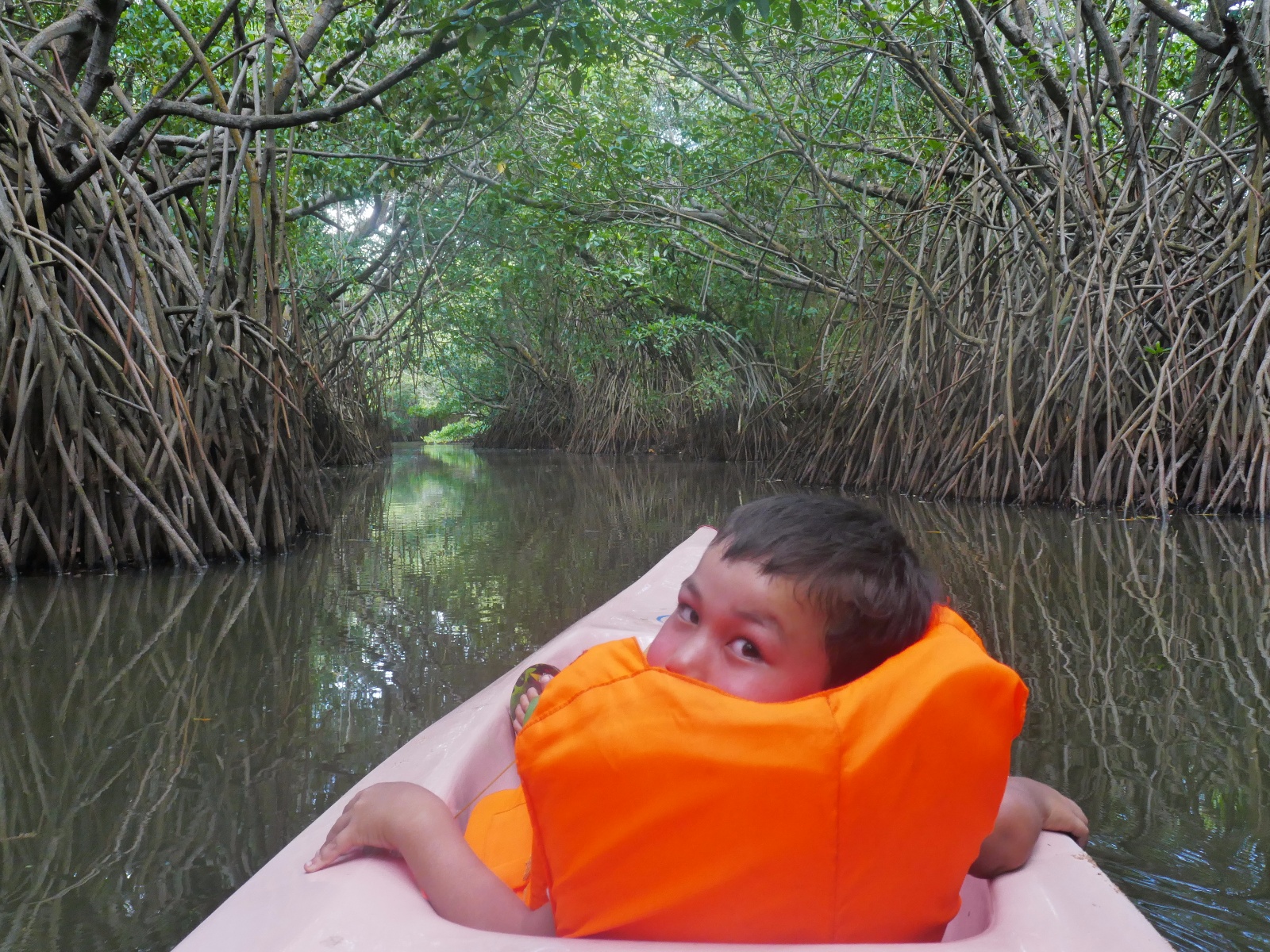 Mangrove tur
